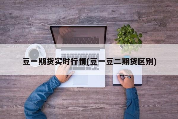 豆一期货实时行情(豆一豆二期货区别)