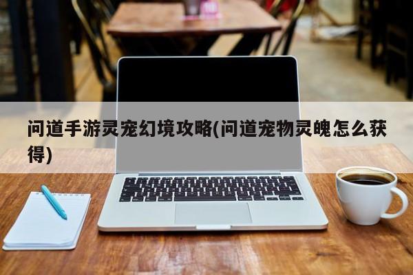 问道手游灵宠幻境攻略(问道宠物灵魄怎么获得)