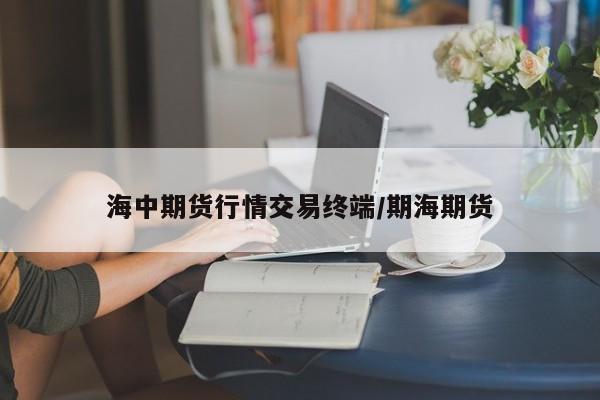 海中期货行情交易终端/期海期货