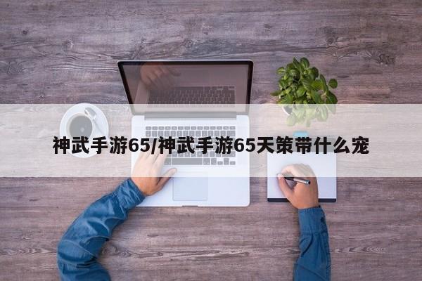神武手游65/神武手游65天策带什么宠