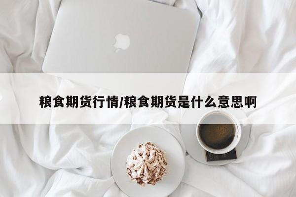 粮食期货行情/粮食期货是什么意思啊