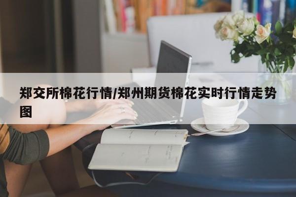 郑交所棉花行情/郑州期货棉花实时行情走势图